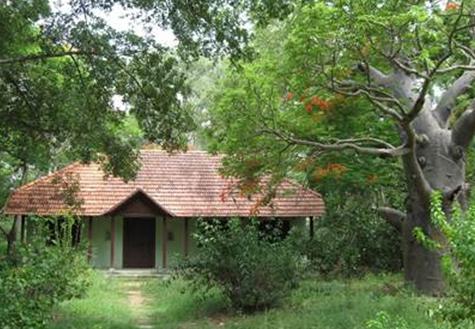 adyar - varie