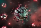 Corona pandemic INDICE