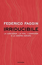 irriducibile - faggin