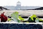 giorno memoria indice