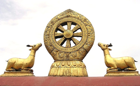 Seguire la propria via