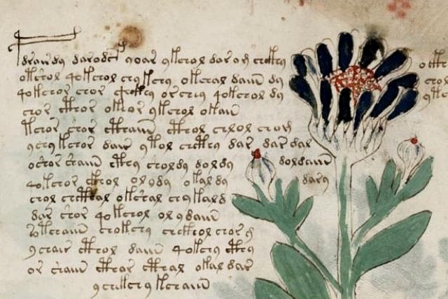 Manoscritto Voynich