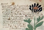 Manoscritto Voynich INDICE