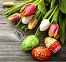Pasqua