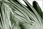 Testi per l’intuizione INDICE