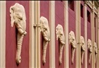 The Elephants INDICE