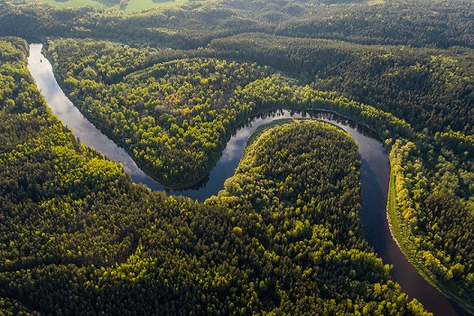 AMAZZONIA