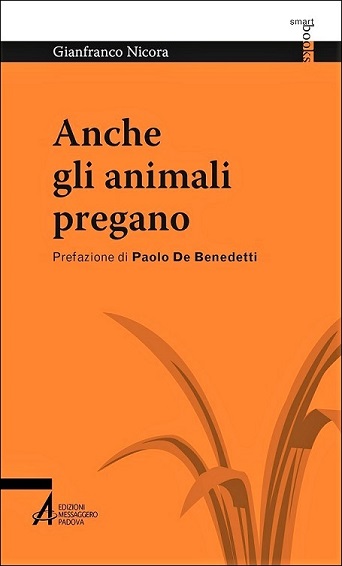 Anche gli animali pregano