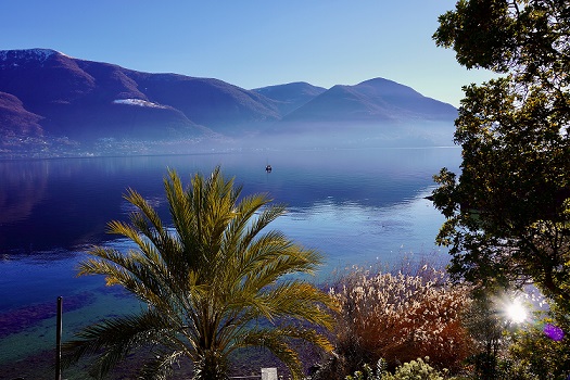 Ascona video