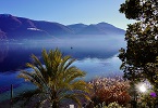 ascona video INDICE