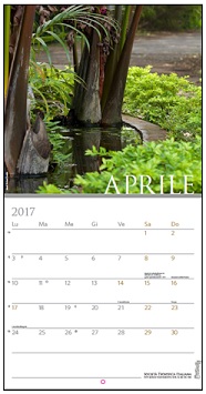 calendario 2017