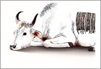 La fabbrica della carne INDICE