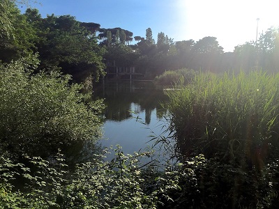 Unico immacolato Lago