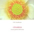 Chakras index