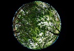Decalogo della biosfera INDICE