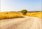Rivista Italiana di Teosofia (luglio-agosto 2025) indice