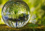 Dal Covid 19 ad un Patto con la Terra INDICE