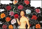 Catalogo donne valorose INDICE