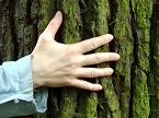Ecologia affettiva ed Ecopsicologia INDICE