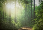 Seminario Esperienziale Eco-Sofia INDICE