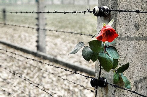 giorno della memoria