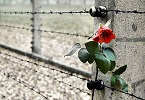 giorno della memoria INDICE