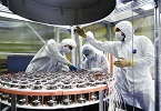 La materia oscura: una realtà ancora misteriosa INDICE