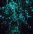 Grotte Luminose - index