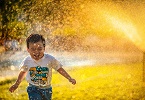 Testi per l’intuizione INDICE