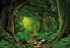 Spiritual Powers in Humankind INDICE