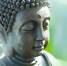 buddha index
