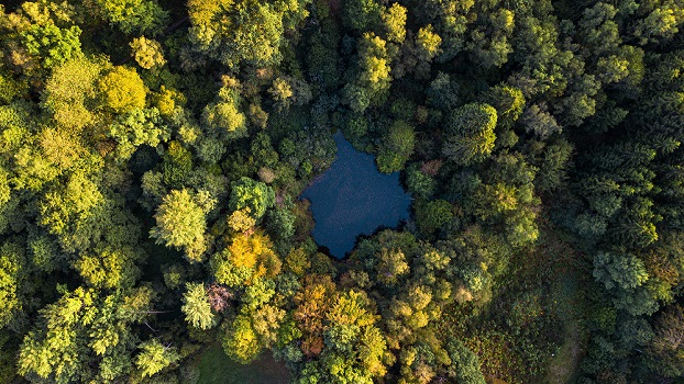 Un progetto per decifrare il linguaggio delle piante
