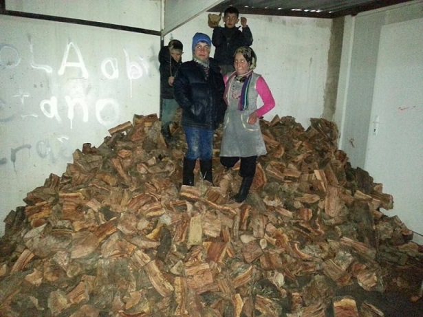 Siria - emergenza legna