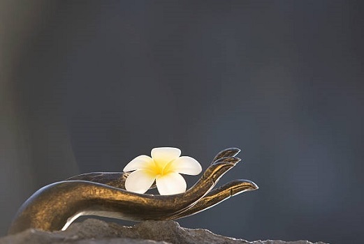 L’antidoto al dolore sono la compassione e l’amore