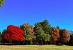 Equinozio d’autunno INDICE