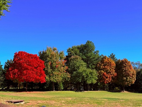Equinozio d’autunno
