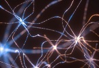 Meditazione: la via privilegiata INDICE