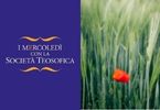 mercoledì footprint INDICE