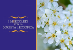 Mercoledì Meditazione per la Pace INDICE