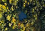 Un progetto per decifrare il linguaggio delle piante INDICE