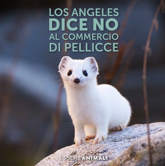 Il mondo della moda verso un futuro senza pellicce