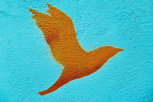 La Pace: un&rsquo;armonia tra spirito e materia