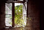 Più luce INDICE