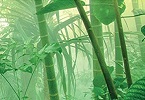 Il cambiamento climatico INDICE