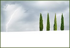 I Quattro Maestri INDICE