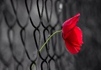 Testi per l’intuizione [XLVI] INDICE