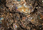 meteorite ha portato sulla terra due minerali sconosciuti INDICE