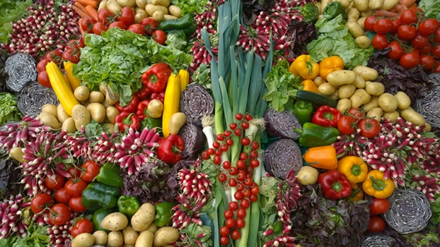 vegetarismo