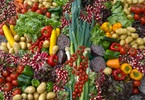 vegetarismo INDICE