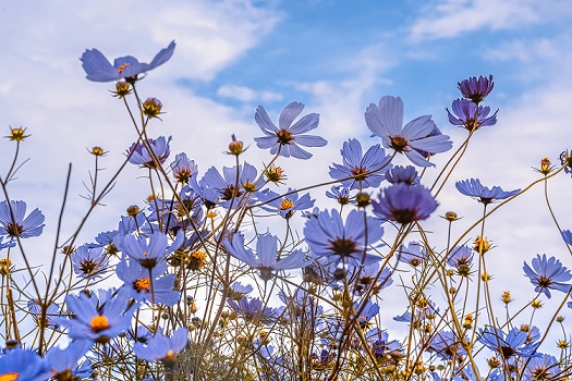 Equinozio di primavera